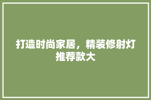 打造时尚家居，精装修射灯推荐款大  第1张