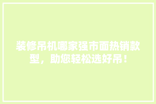 装修吊机哪家强市面热销款型，助您轻松选好吊！