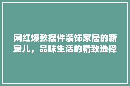 网红爆款摆件装饰家居的新宠儿，品味生活的精致选择
