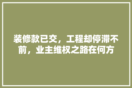 装修款已交，工程却停滞不前，业主维权之路在何方