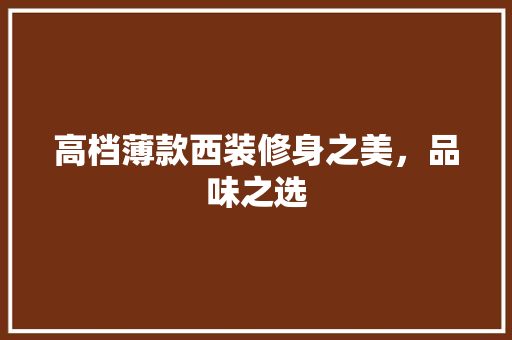高档薄款西装修身之美，品味之选