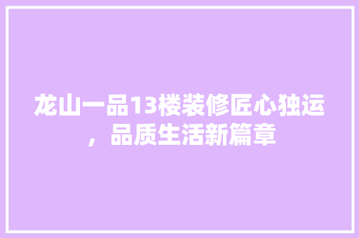 龙山一品13楼装修匠心独运，品质生活新篇章