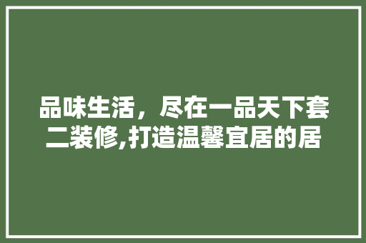 品味生活，尽在一品天下套二装修,打造温馨宜居的居住空间