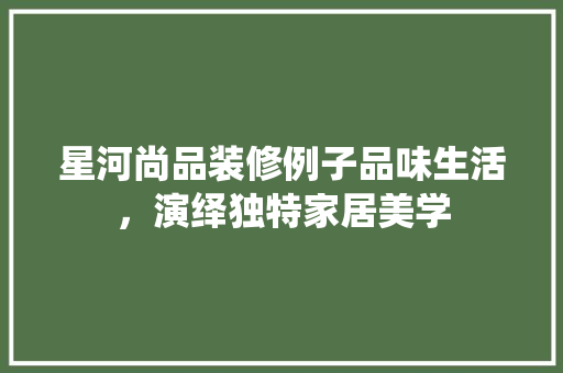 星河尚品装修例子品味生活，演绎独特家居美学