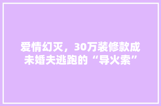 爱情幻灭，30万装修款成未婚夫逃跑的“导火索”