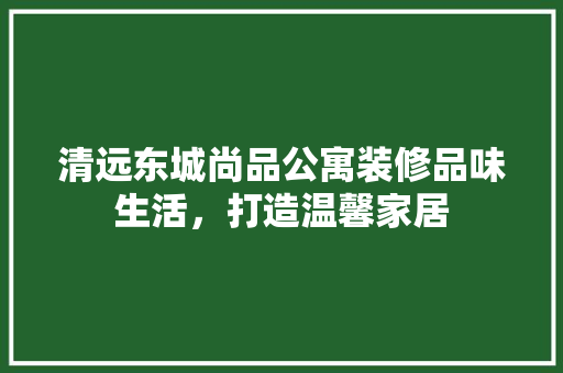 清远东城尚品公寓装修品味生活，打造温馨家居