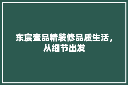 东宸壹品精装修品质生活，从细节出发  第1张