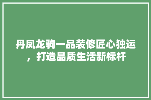 丹凤龙驹一品装修匠心独运，打造品质生活新标杆  第1张