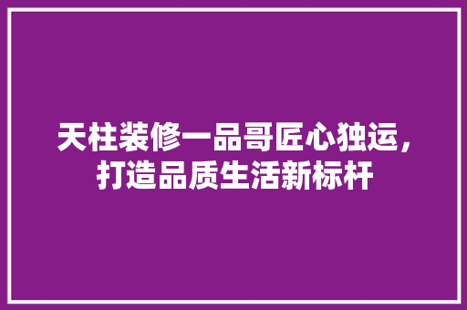 天柱装修一品哥匠心独运，打造品质生活新标杆  第1张