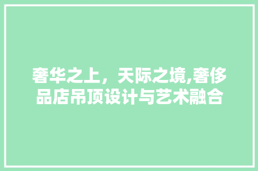 奢华之上，天际之境,奢侈品店吊顶设计与艺术融合  第1张