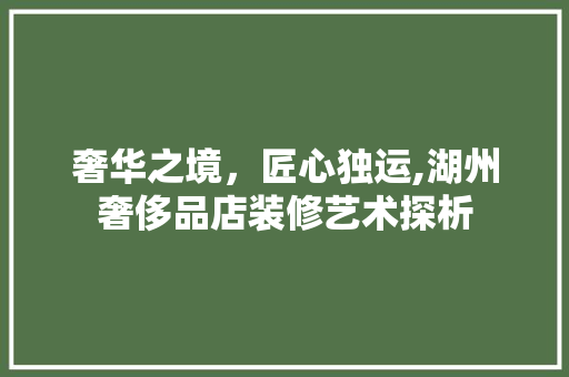 奢华之境，匠心独运,湖州奢侈品店装修艺术探析  第1张