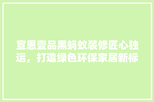 宣恩壹品黑蚂蚁装修匠心独运，打造绿色环保家居新标杆  第1张