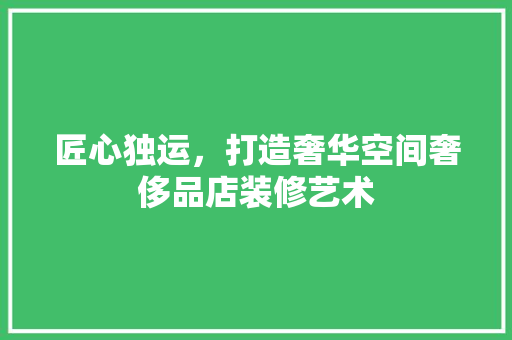 匠心独运，打造奢华空间奢侈品店装修艺术  第1张
