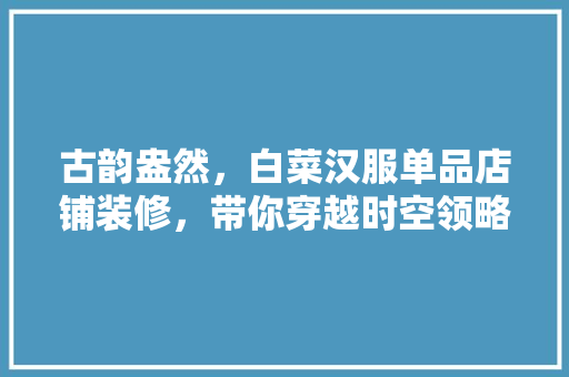 古韵盎然，白菜汉服单品店铺装修，带你穿越时空领略汉服之美  第1张