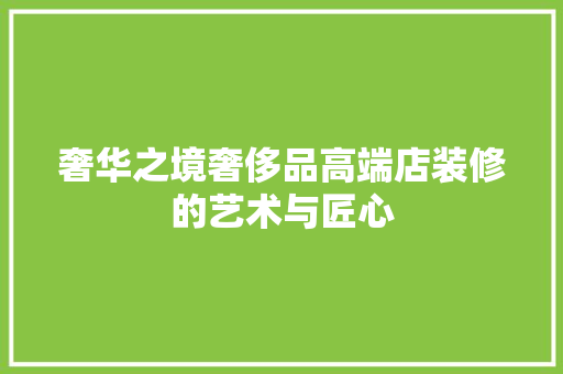 奢华之境奢侈品高端店装修的艺术与匠心