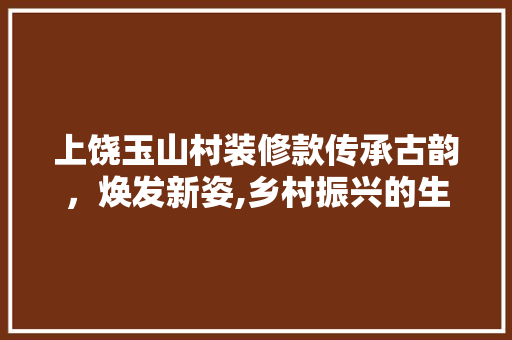 上饶玉山村装修款传承古韵，焕发新姿,乡村振兴的生动方法  第1张