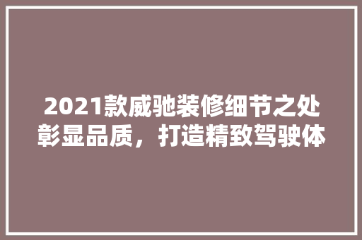 2021款威驰装修细节之处彰显品质，打造精致驾驶体验