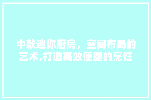 中款迷你厨房，空间布局的艺术,打造高效便捷的烹饪天堂