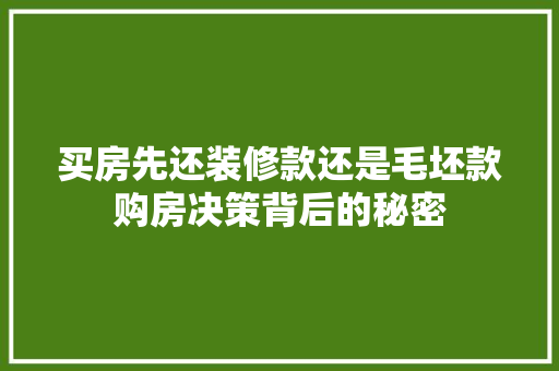买房先还装修款还是毛坯款购房决策背后的秘密  第1张