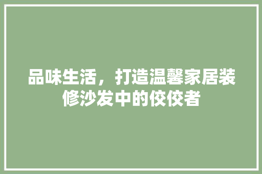 品味生活，打造温馨家居装修沙发中的佼佼者  第1张