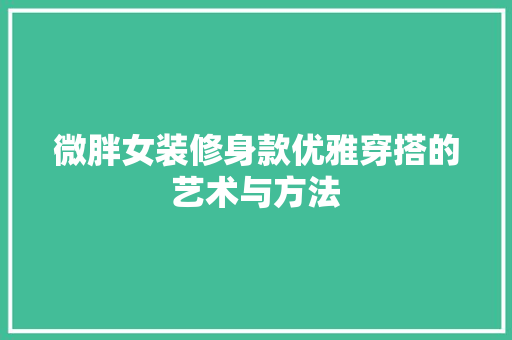 微胖女装修身款优雅穿搭的艺术与方法  第1张