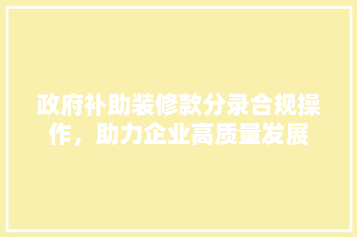 政府补助装修款分录合规操作，助力企业高质量发展