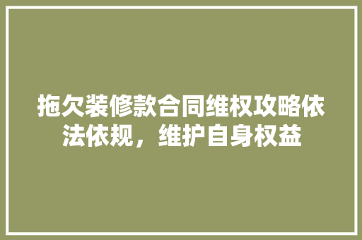 拖欠装修款合同维权攻略依法依规，维护自身权益  第1张