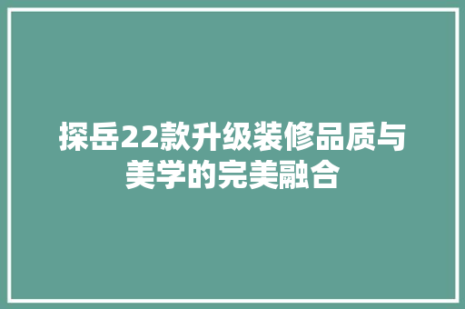 探岳22款升级装修品质与美学的完美融合  第1张
