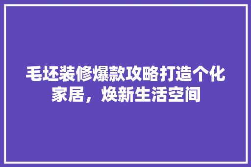 毛坯装修爆款攻略打造个化家居，焕新生活空间