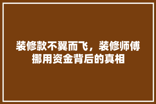 装修款不翼而飞，装修师傅挪用资金背后的真相