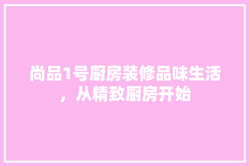 尚品1号厨房装修品味生活，从精致厨房开始