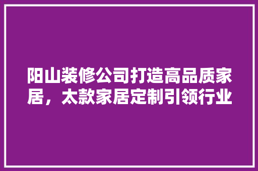 阳山装修公司打造高品质家居，太款家居定制引领行业新潮流  第1张