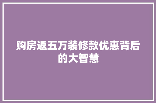 购房返五万装修款优惠背后的大智慧