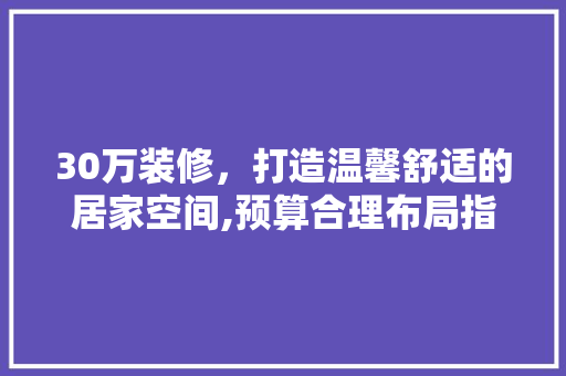30万装修，打造温馨舒适的居家空间,预算合理布局指南