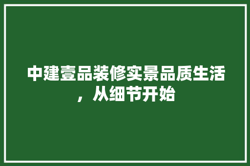 中建壹品装修实景品质生活，从细节开始  第1张