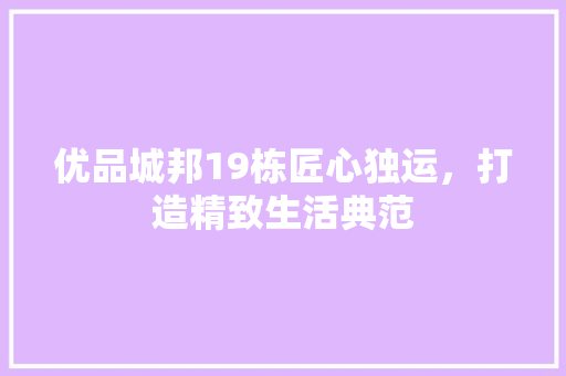 优品城邦19栋匠心独运，打造精致生活典范  第1张