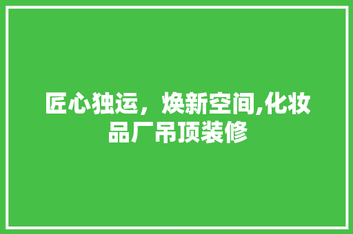 匠心独运，焕新空间,化妆品厂吊顶装修