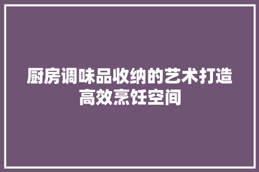 厨房调味品收纳的艺术打造高效烹饪空间  第1张