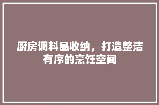 厨房调料品收纳，打造整洁有序的烹饪空间