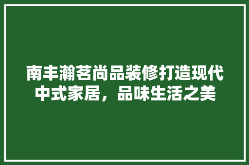 南丰瀚茗尚品装修打造现代中式家居，品味生活之美  第1张