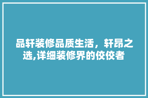 品轩装修品质生活，轩昂之选,详细装修界的佼佼者