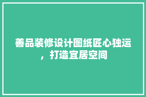 善品装修设计图纸匠心独运，打造宜居空间