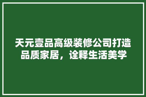 天元壹品高级装修公司打造品质家居，诠释生活美学