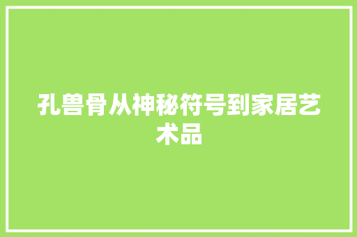 孔兽骨从神秘符号到家居艺术品