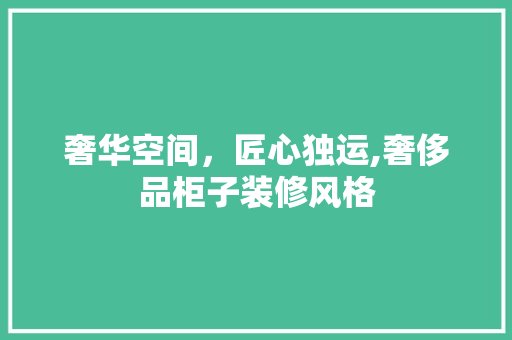 奢华空间，匠心独运,奢侈品柜子装修风格