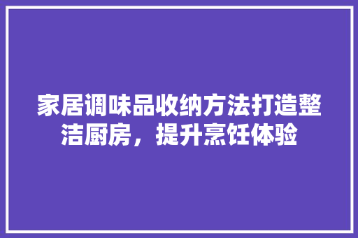 家居调味品收纳方法打造整洁厨房，提升烹饪体验  第1张