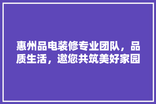 惠州品电装修专业团队，品质生活，邀您共筑美好家园