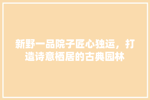 新野一品院子匠心独运，打造诗意栖居的古典园林  第1张