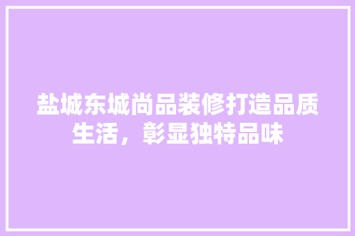 盐城东城尚品装修打造品质生活，彰显独特品味