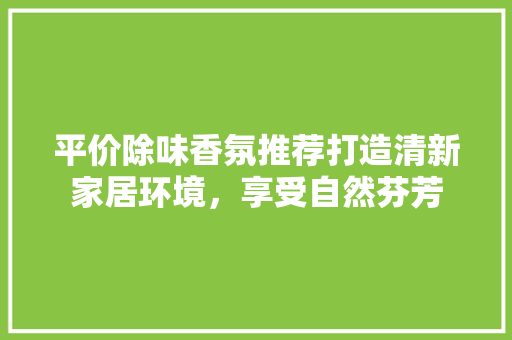 平价除味香氛推荐打造清新家居环境，享受自然芬芳